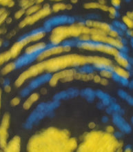Load and play video in Gallery viewer, Hyena patch - Blue and yellow opened jaw hyena patch - intersectional feminism - Screen printing on black fabric