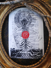 Load image into Gallery viewer, Cerebral roots - Linocut print on book page