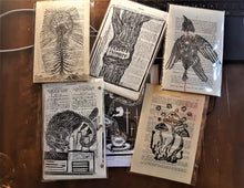 Load image into Gallery viewer, Private property - Tree linocut print on civil code book page