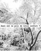 Load image into Gallery viewer, Les réflexions hivernales d&#39;un tournesol déprimé
