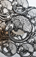 Load image into Gallery viewer, Ouroboropossum - Opossum eating its tail 3x3 Weatherproof matte vinyl sticker
