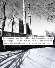 Load image into Gallery viewer, Les réflexions hivernales d&#39;un tournesol déprimé
